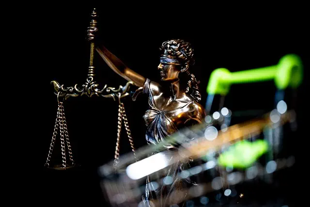 lawyer-attorney-law-judge-640x480-50858003.jpeg