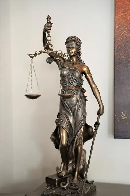 lawyer-attorney-law-judge-640x480-70850884.jpeg