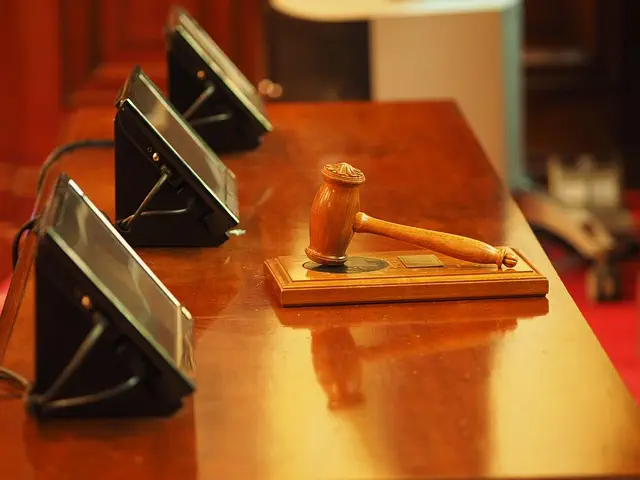 Lawyer, Attorney, Law, Judge