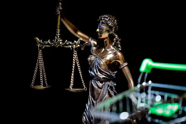 lawyer-attorney-law-judge-640x480-17048883.jpeg