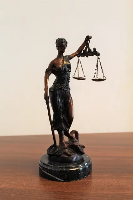 lawyer-attorney-law-judge-640x480-22179525.jpeg