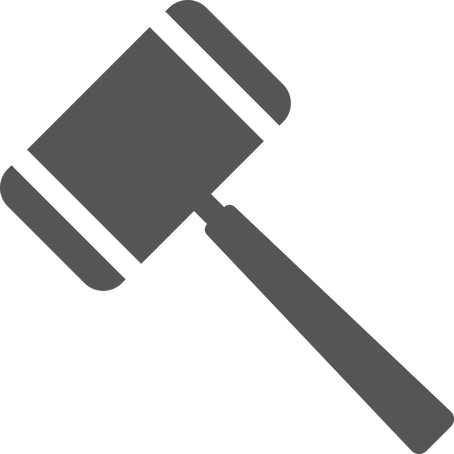 lawyer-attorney-law-judge-640x480-29060554.png