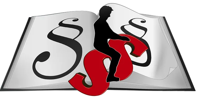 lawyer-attorney-law-judge-640x480-35773935.png