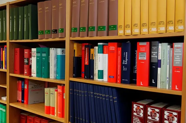 lawyer-attorney-law-judge-640x480-40922052.jpeg