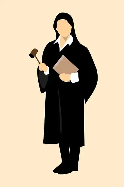 lawyer-attorney-law-judge-640x480-61299561.jpeg