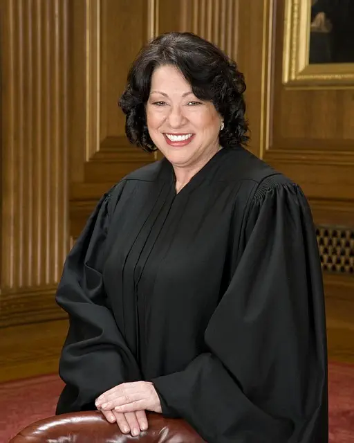 lawyer-attorney-law-judge-640x480-67008386.jpeg