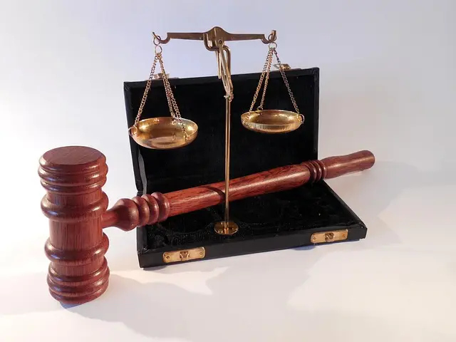 lawyer-attorney-law-judge-640x480-68941677.jpeg