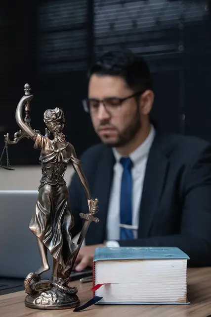 lawyer-attorney-law-judge-640x480-75574389.jpeg