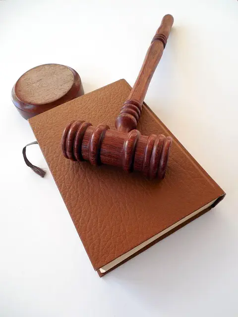 lawyer-attorney-law-judge-640x480-96984179.jpeg