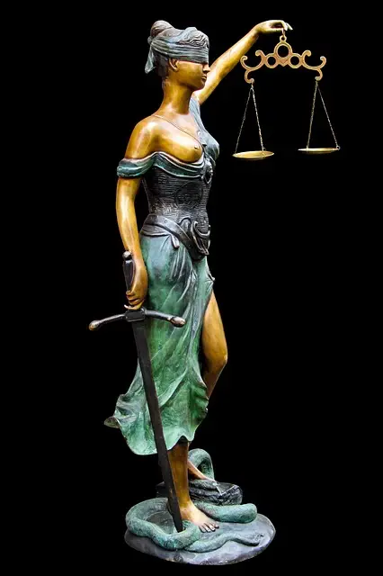 lawyer-attorney-law-judge-640x480-52228977.jpeg