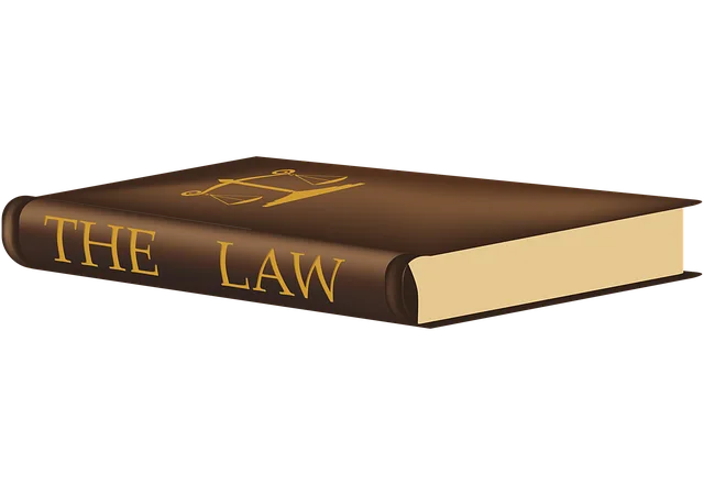 lawyer-attorney-law-judge-640x480-6822107.png